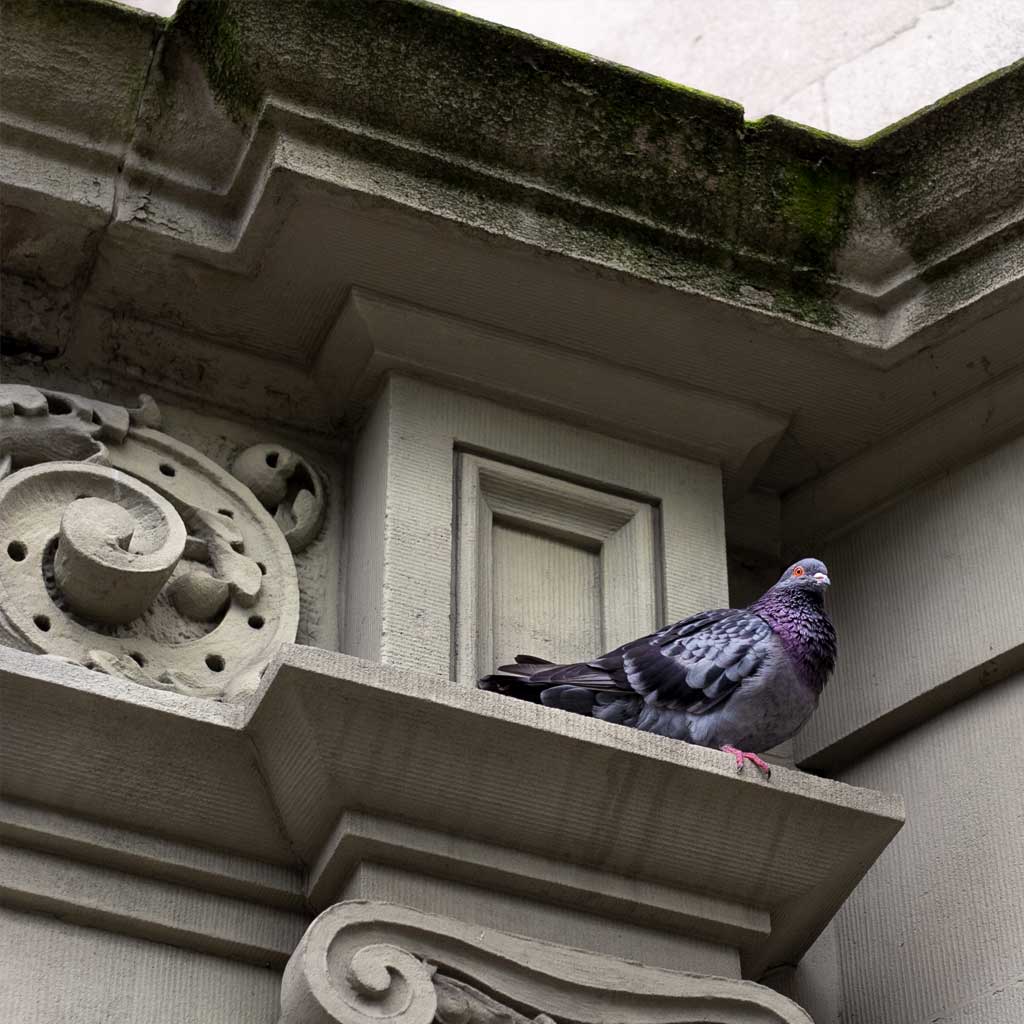 Industrial facility protected by BCS